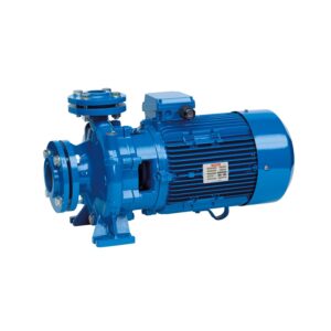 Bomba centrifuga Speroni CS 50-160D 3 KW. 230/400 V. IE3 - Imagen 1