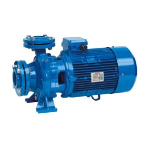 Bomba centrifuga Speroni CS 65-250A 37 KW. 400/690 V. IE3 - Imagen 1