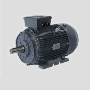 Motor eléctrico Techtop modelo T3CR160M2-2 3000 r.p.m. 15 KW. B3-B5 400/690 V.