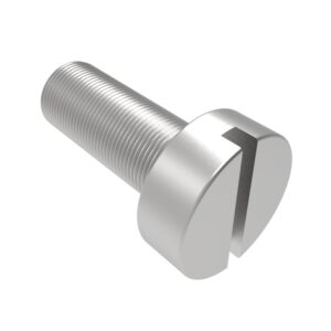Tornillo a/inox. A2 DIN-84 M-10x60 mm.