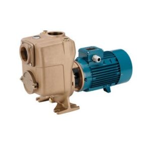 Bomba centrifuga autocebante Calpeda B-A 80-170A/A 7.5 KW. 400/690 V.