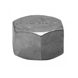 Tapon hembra a/inox. A-316 Figura 300 2-1/2"