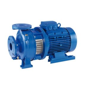 Bomba centrifuga monobloc Ebara 3DS4/I 32-200/0,75 0.75 KW. 230/400 V. - Imagen 1