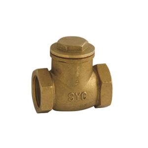 Valvula de retencion a clapeta con rosca 3" laton