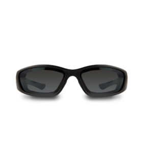 Gafas de proteccion solar Pegaso F1 art. 990.01 EAN 8436010312482