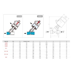 Valvula de asiento inclinado Aignep 2/2 N.C. 3/8" con actuador neumatico inoxidable X1Y0410400 - Imagen 2