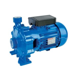 Bomba centrifuga Speroni C 54 3 KW. 230/400 V. IE3 - Imagen 1