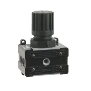 Regulador Aignep REG3 0-8 bar con rosca 1" T020309030000